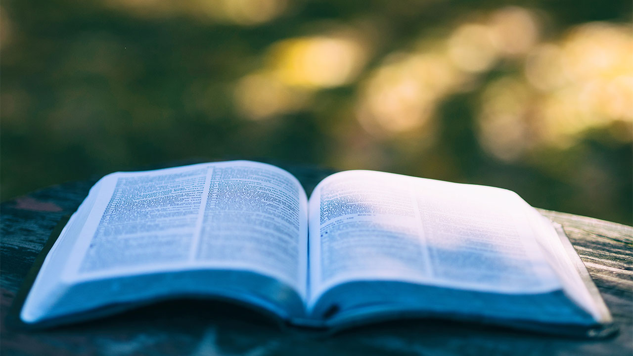 190423_aaron-burden-149692-unsplash (1)